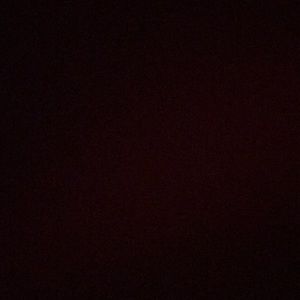 Meet your Posher, Bennett